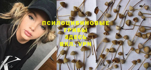 COCAINE Белокуриха
