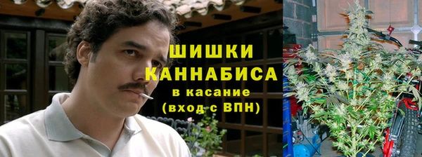 трава Беломорск