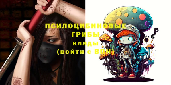трава Беломорск