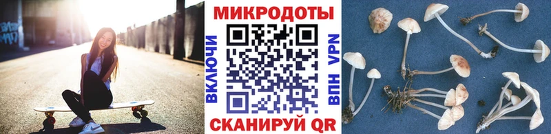 как найти   Яровое  гидра ТОР  Галлюциногенные грибы MAGIC MUSHROOMS 